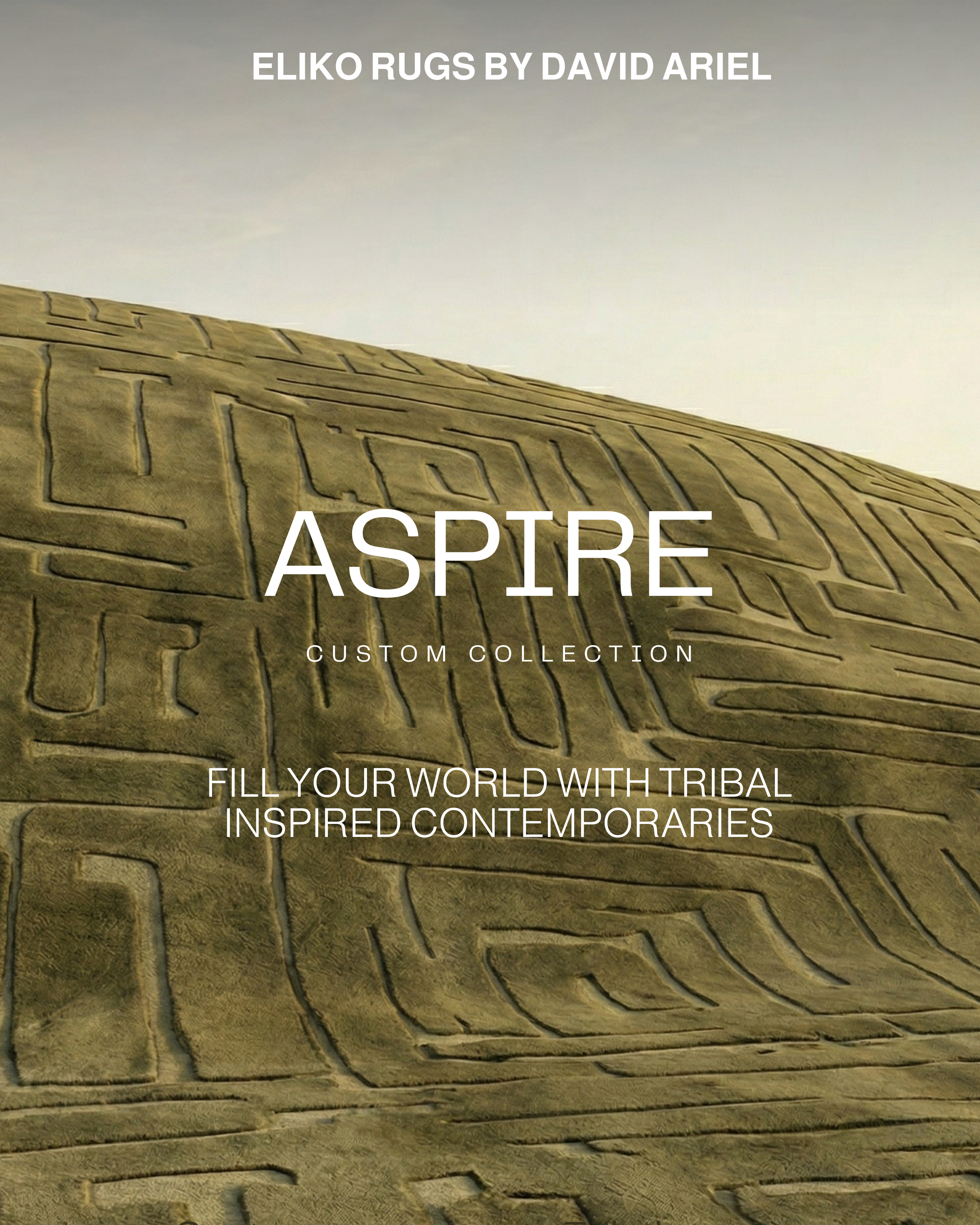 Aspire Collection hero rug